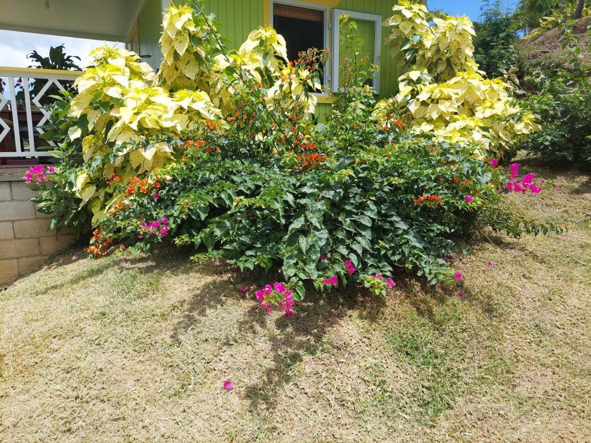 Diamond View Cottages Roseau Exterior photo